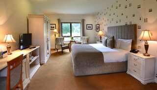 Отель Kiltimagh Park Hotel Килтама Двухместный номер с 1 кроватью-4